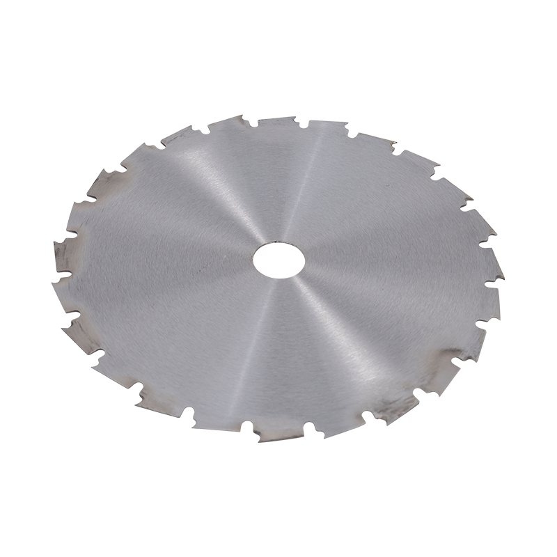 24T Tip Disc